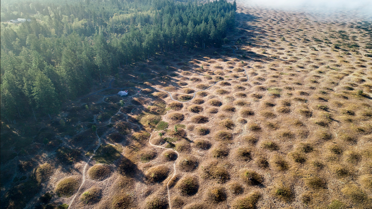 Mima Mounds are one of Washington’s enduring geologic mysteries.