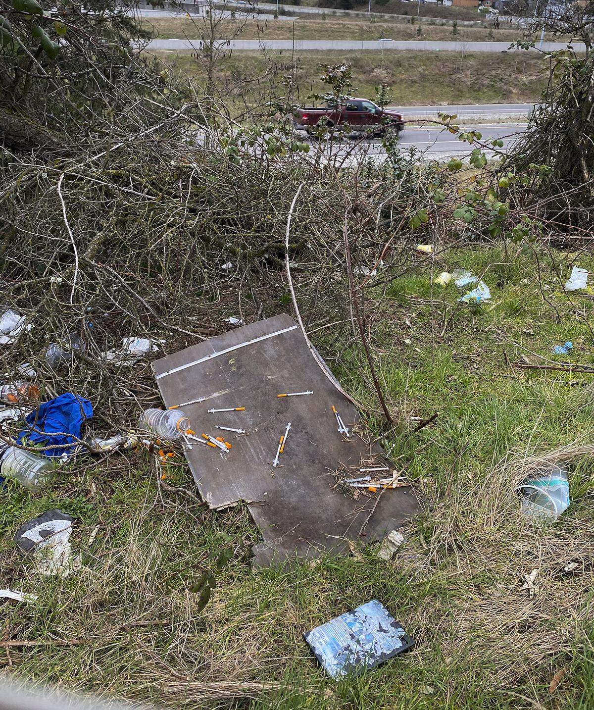Hypodermic needles are among the trash strewn along Interstate 5 in Tacoma recently. Pick-up programs have been hampered by the COVID-19 pandemic.