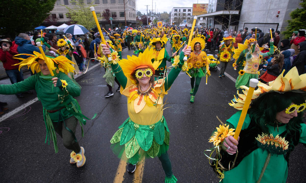 Barbara Byron and the rest of the Samba Olywa dance troupe fill Legion Way in downtown Olympia during the Procession of the Species in 2024. Samba Olywa dance workshop: The dance troupe is hosting a workshop for dancers from 1-3 p.m. Saturday, Feb. 8, at Eagles Grand Ballroom so dancers can learn the routine for this year’s Procession.