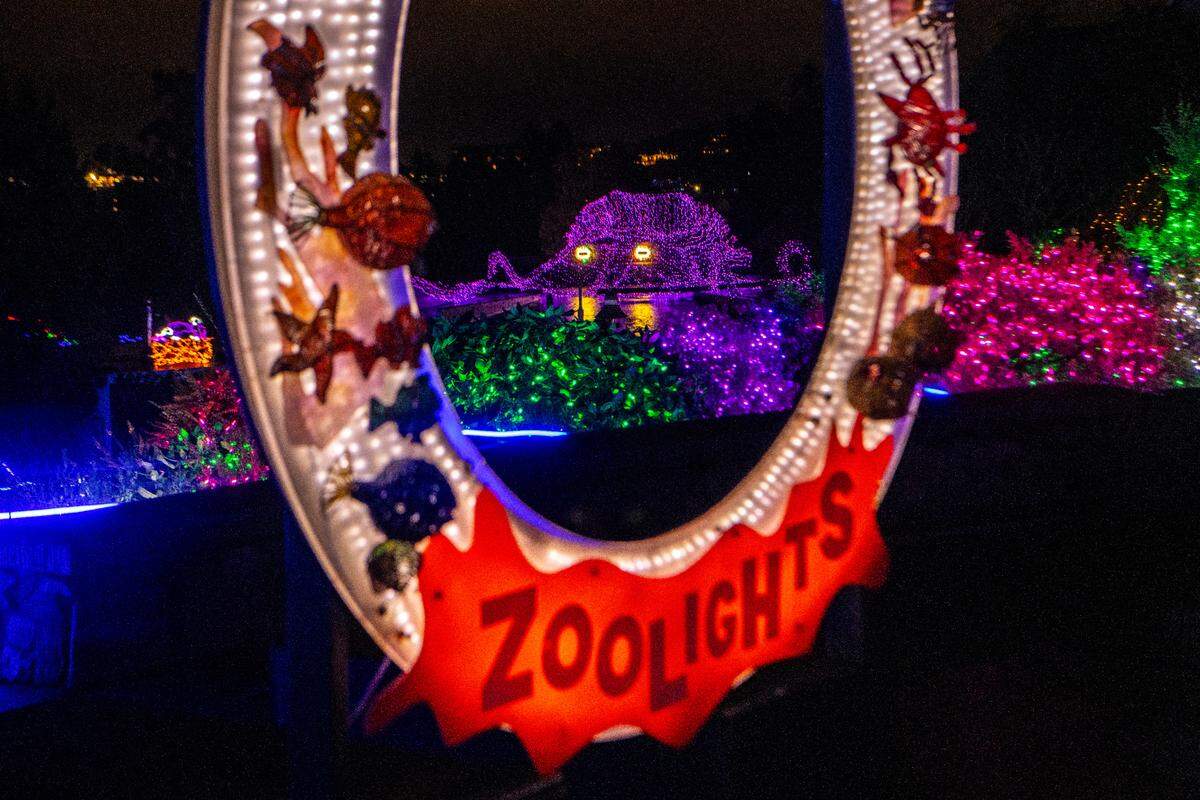 A large purple lighted octopus sits in the middle of a light display at Point Defiance Zoo & Aquarium for its Zoolights event on Tuesday, Nov. 19, 2024, in Tacoma, Washington.