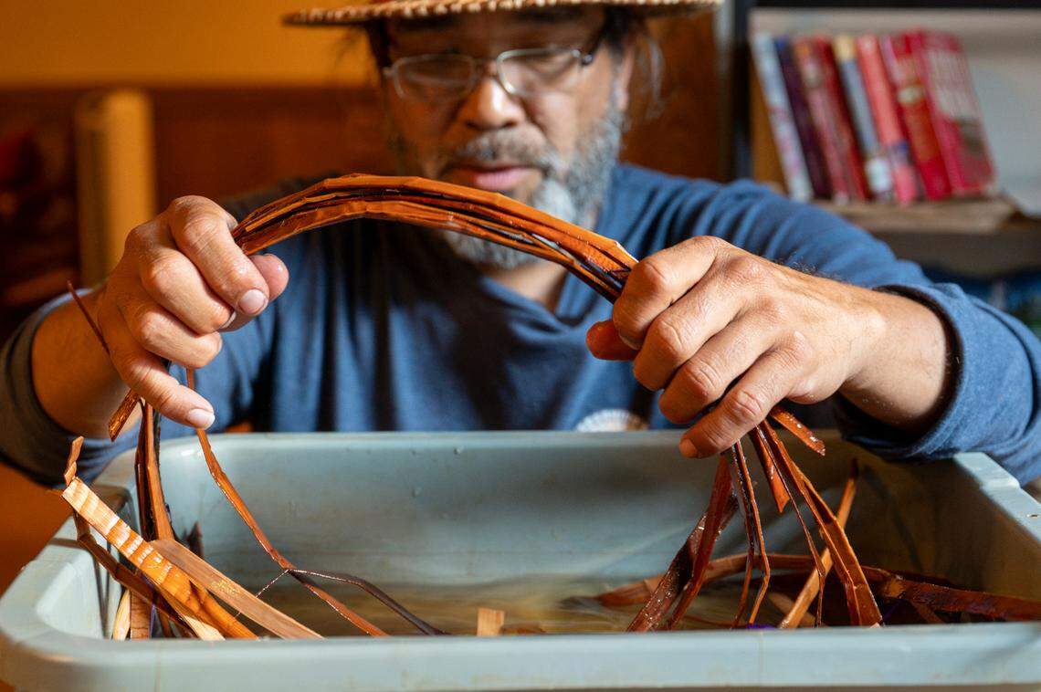 Dampened cedar bark is pulled from a bucket of water by Hweqwidi Hanford McCloud, a Nisqually tribal member and a liaison for the Nisqually Tribal Council, as he demonstrates how he weaves hats on Friday, June 6, 2025, at the National Park Inn at Mount Rainier National Park.