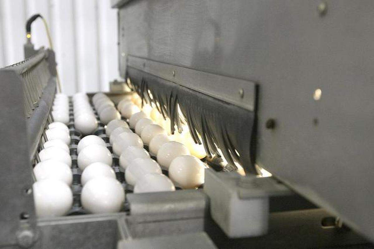 Eggs move on a conveyor belt through an optical sensor that checks for cleanliness, cracks and other imperfections in this file photo.