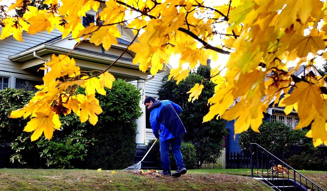 Once leaves and twigs land on your property, they become your yard waste, legal experts say.