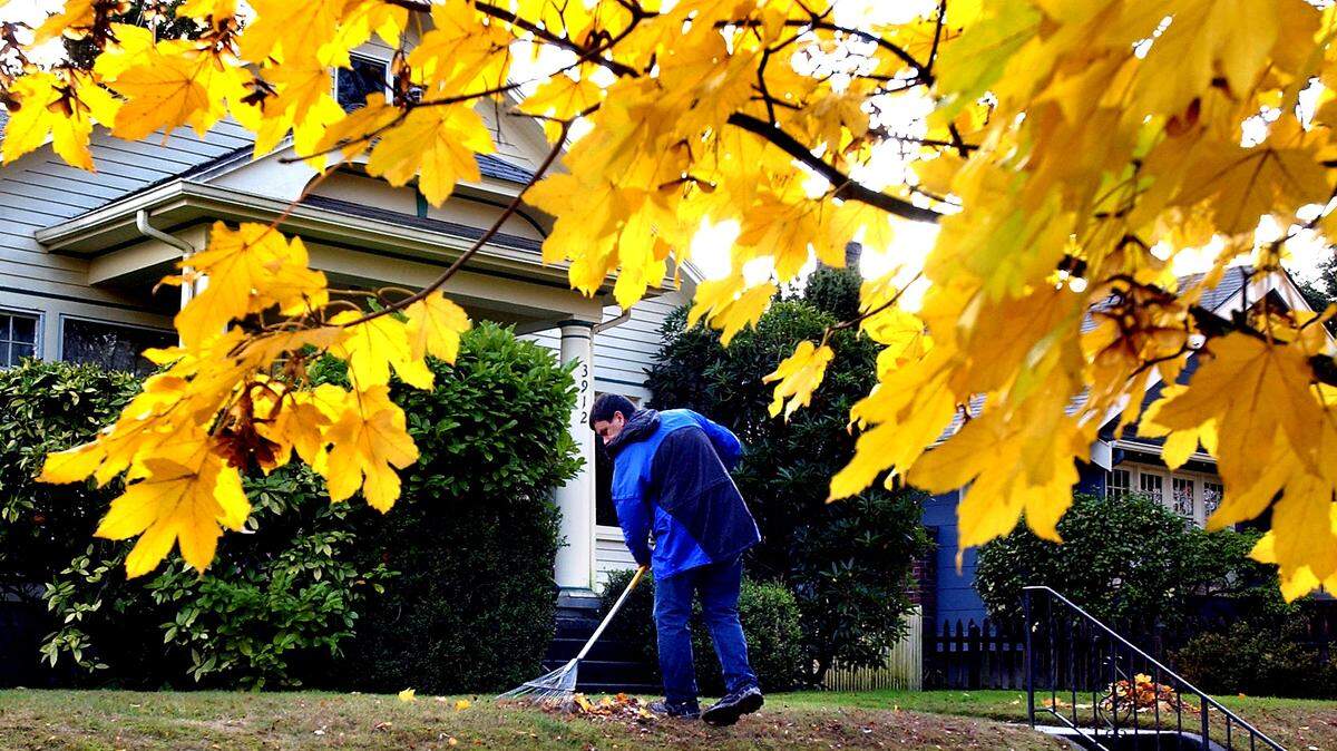 Now’s the time to take care of those fallen leaves before they become a problem. And don’t forget fertilizing the lawn and  planting spring-blooming bulbs.