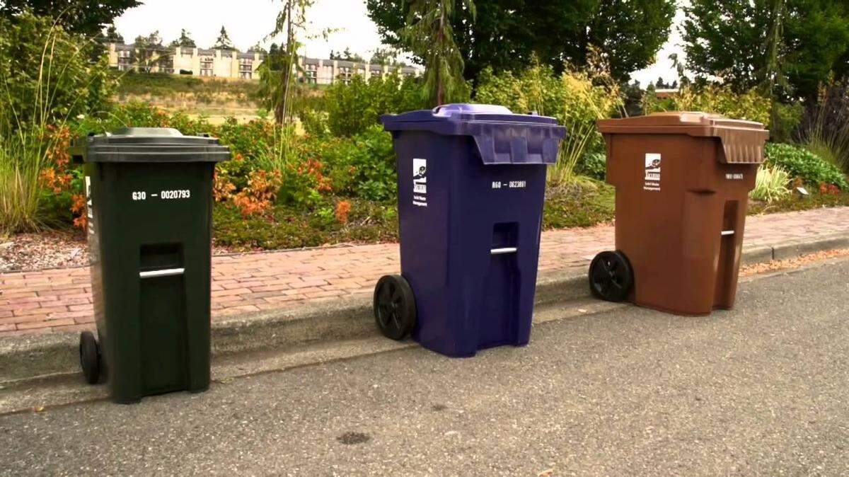 A garbage bin, a recycling bin and a food and yard waste bin sit by the sidewalk.