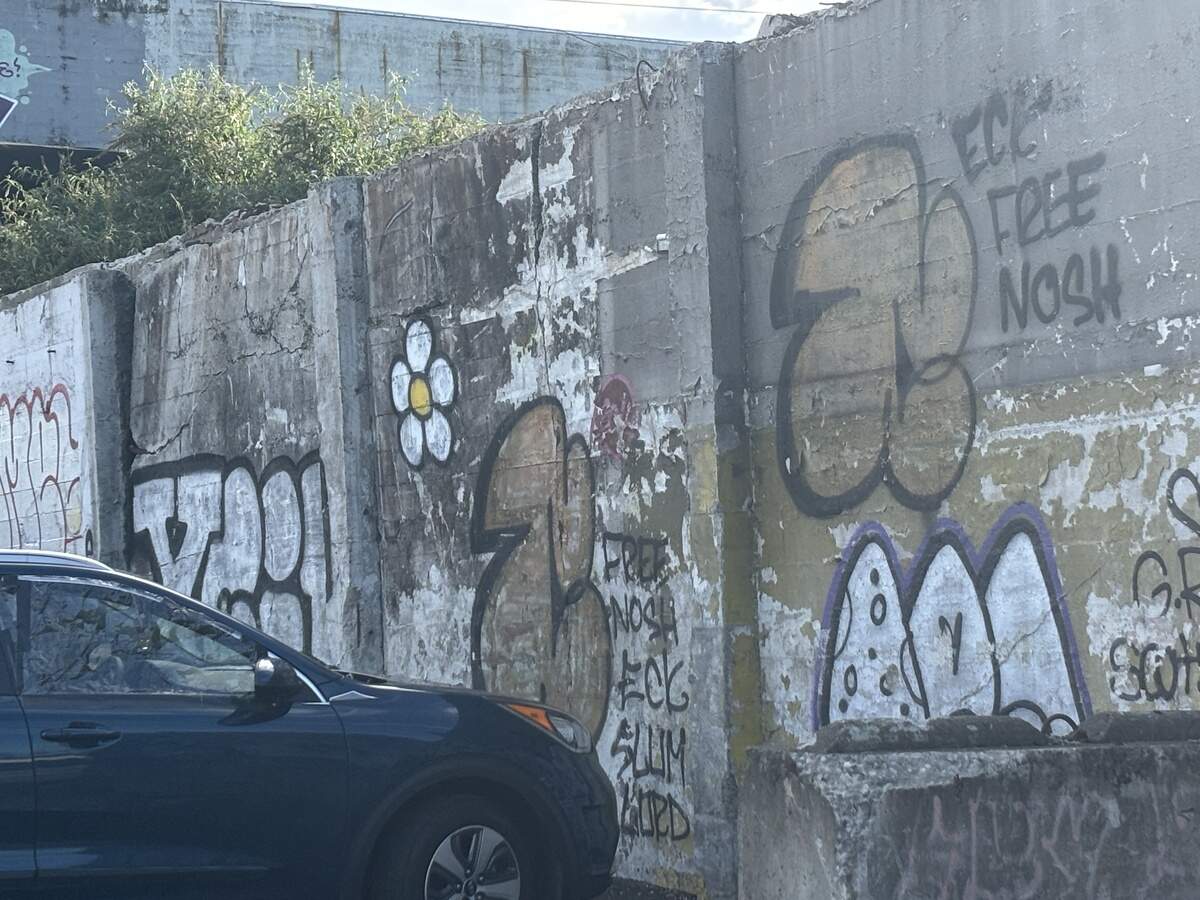 The distinctive daisy associated with the Tacoma tagger “XCIT” is seen on a wall near South 24th Street and A Street in Tacoma, Washington, on Oct. 2, 2025