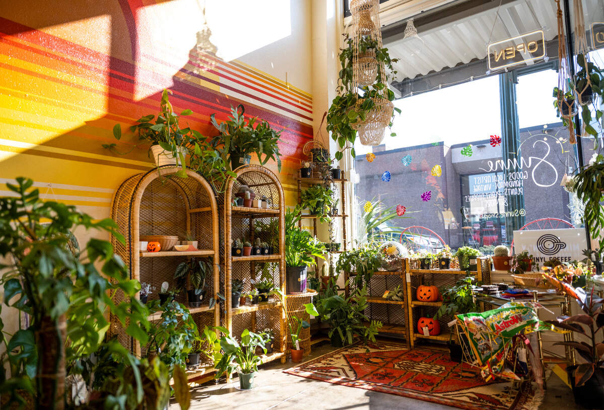 The interior of Sunne Plant Shop, a new local business owned by Desiray O’Brien, is covered from floor to ceiling in various plants and home decor from local artists in downtown Sumner, Wash. on Oct. 13, 2022.