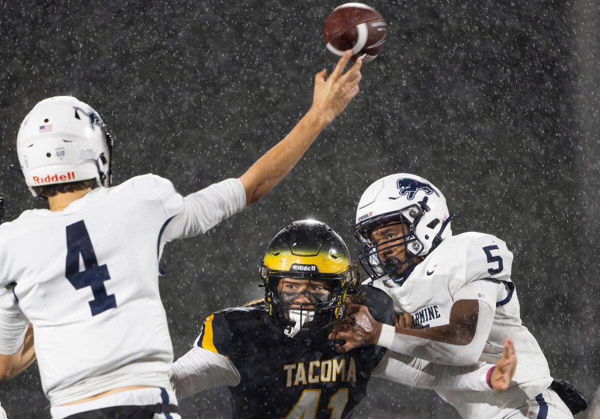 Lincoln’s Brian Gatewood jr (41) pressures Bellarmine Prep quarterback Birk Johnston (4) and hits him as he throws during the second half of the game at Lincoln High School, on Friday, Oct. 18, 2024, in Tacoma, Wash.