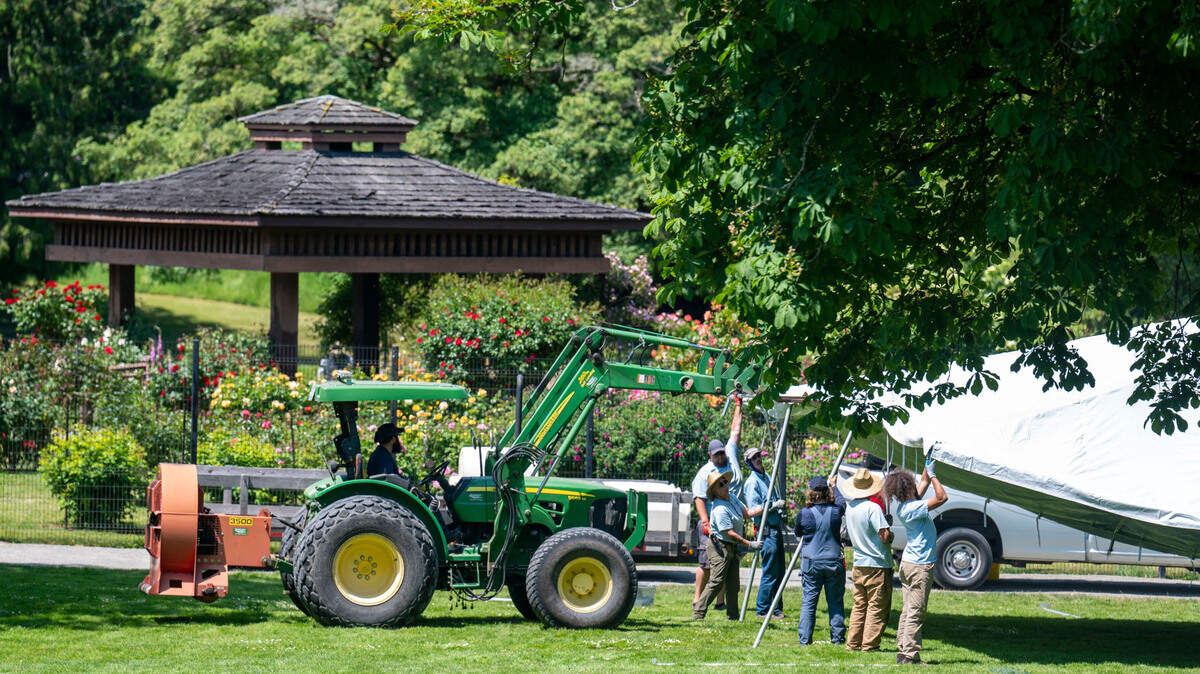 Workers from Metro Parks put up a tent in anticipation of the Point Defiance Flower and Garden Festival on Thursday, June 1, 2023, in Tacoma. The festival will run from June 3 to June 4.