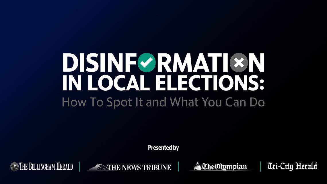 Watch: ‘Disinformation in Local Elections: How to spot it and what you can do’