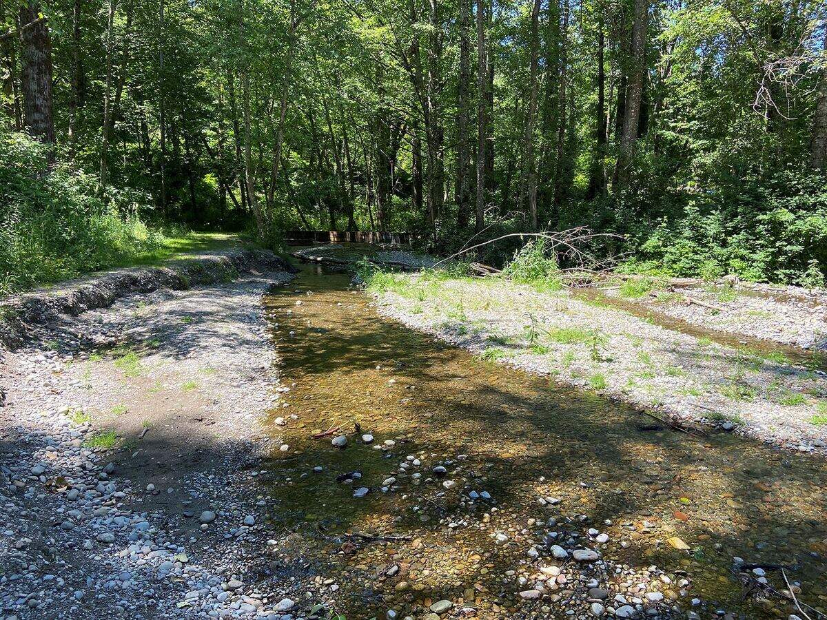 Swan Creek Park in 2021.
