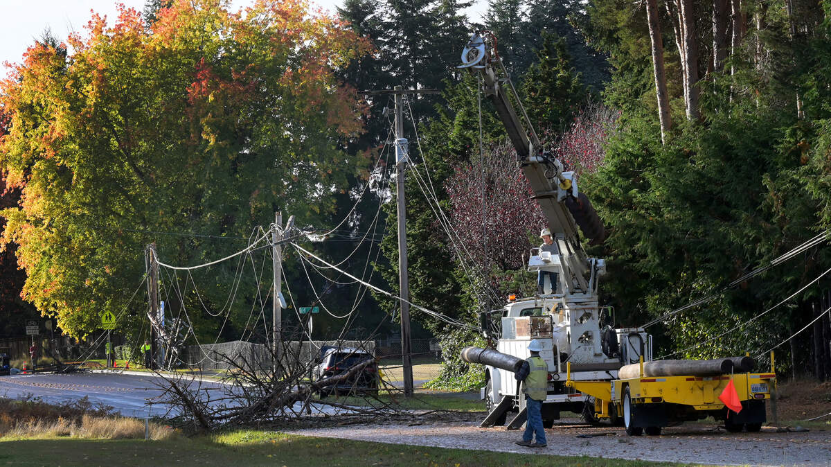 Puget Sound Energy repair crews begin work replacing several downed power poles and lines along Rainier Road SE near Horizons Elementary School in Lacey, Wa. On Saturday, Nov. 5, 2020 after an overnight storm turned the lights for thousands in the area.