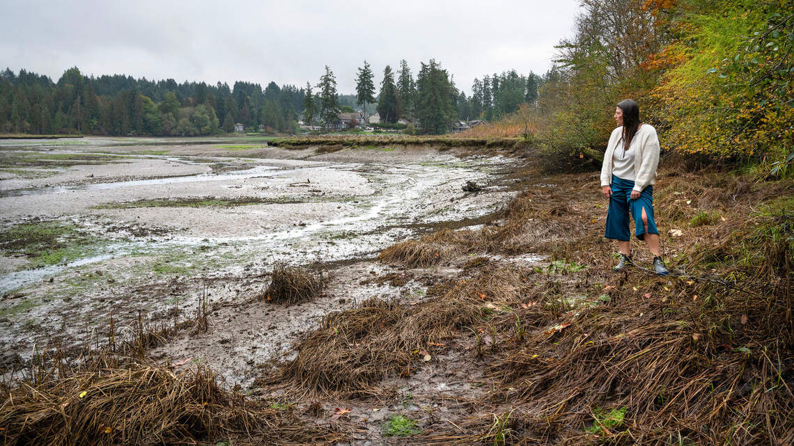 Fecal bacteria threatens shellfish harvesting in one local bay, other areas of the state