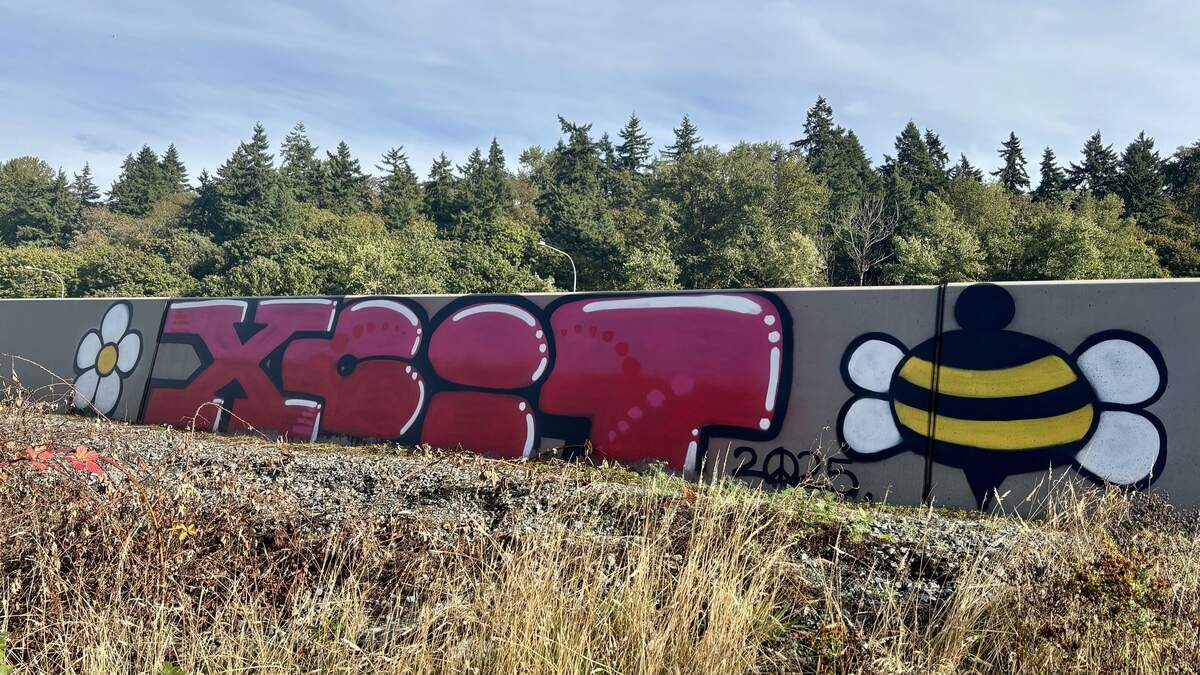 Tacoma graffiti tagger ‘XCIT’ pays $32K restitution to WSDOT, spends day in jail