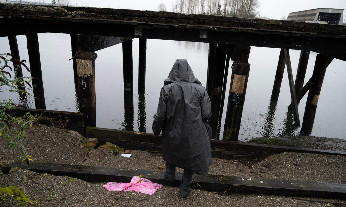 Street artist “Criminal Sage” looks for a space to a affix his artwork to the old pilings along the Thea Foss Waterway in Tacoma, Washington, on Tuesday, Dec. 17, 2024.