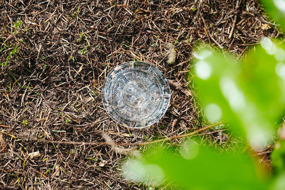 The glass medallions will be hidden in all types of places - parks, hotels, festivals, coffee shops and more.