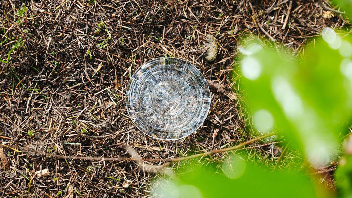 Find hidden soccer-themed glass medallions around Pierce County this month
