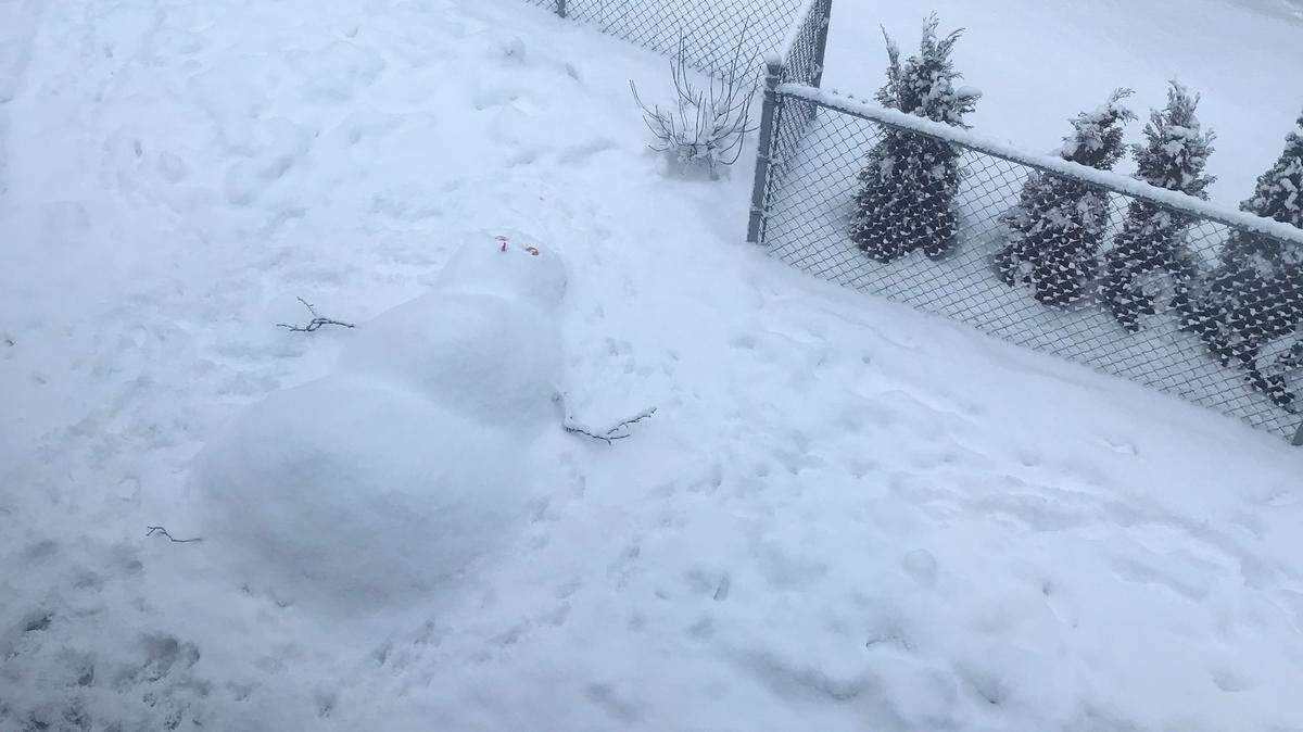 The Driscoll Family snowman has given up on life, much like the author of this column.