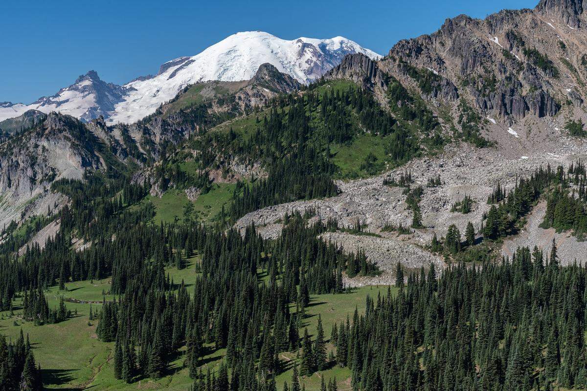 Mount Rainier is seen from the flanks of Brown’s Peak in Mount Rainier National Park in July 2022.