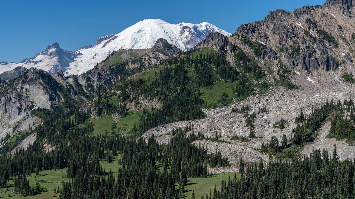 Forests by Mount Rainier no longer slated for sale. That’s not good enough | Opinion