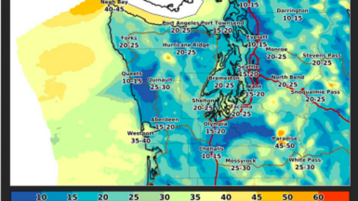 This image shows wind gusts listed in the forecast from the National Weather Service on Saturday.