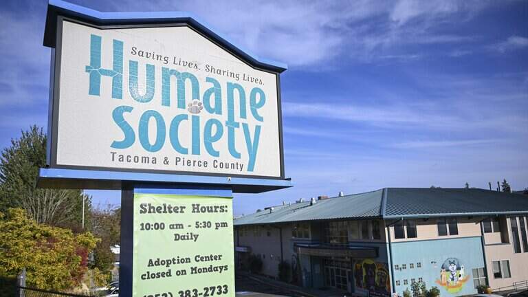 ‘War on the dog walkers:’ Inside Tacoma Humane’s volunteer fallout