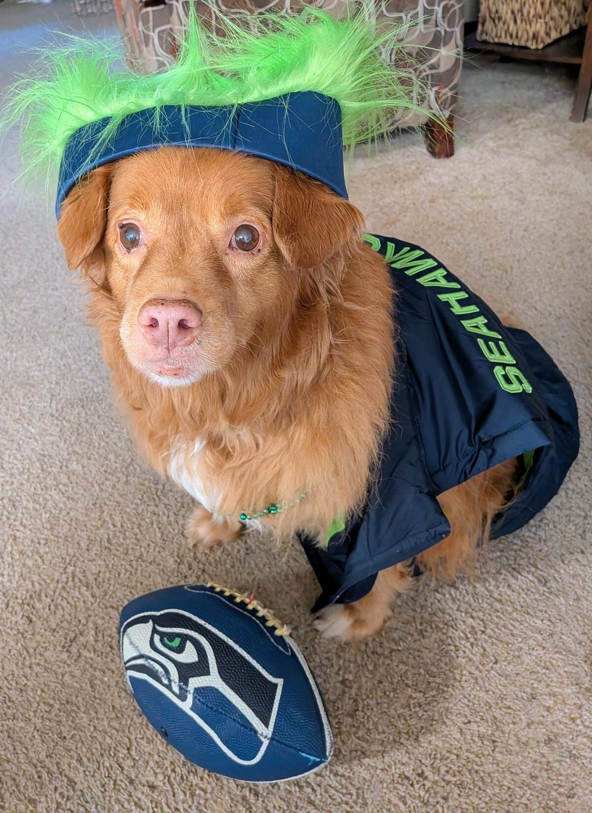Ana(klusmos) White Flame, age 10, was named one of The News Tribune’s cutest Seahawks superfans in 2026.