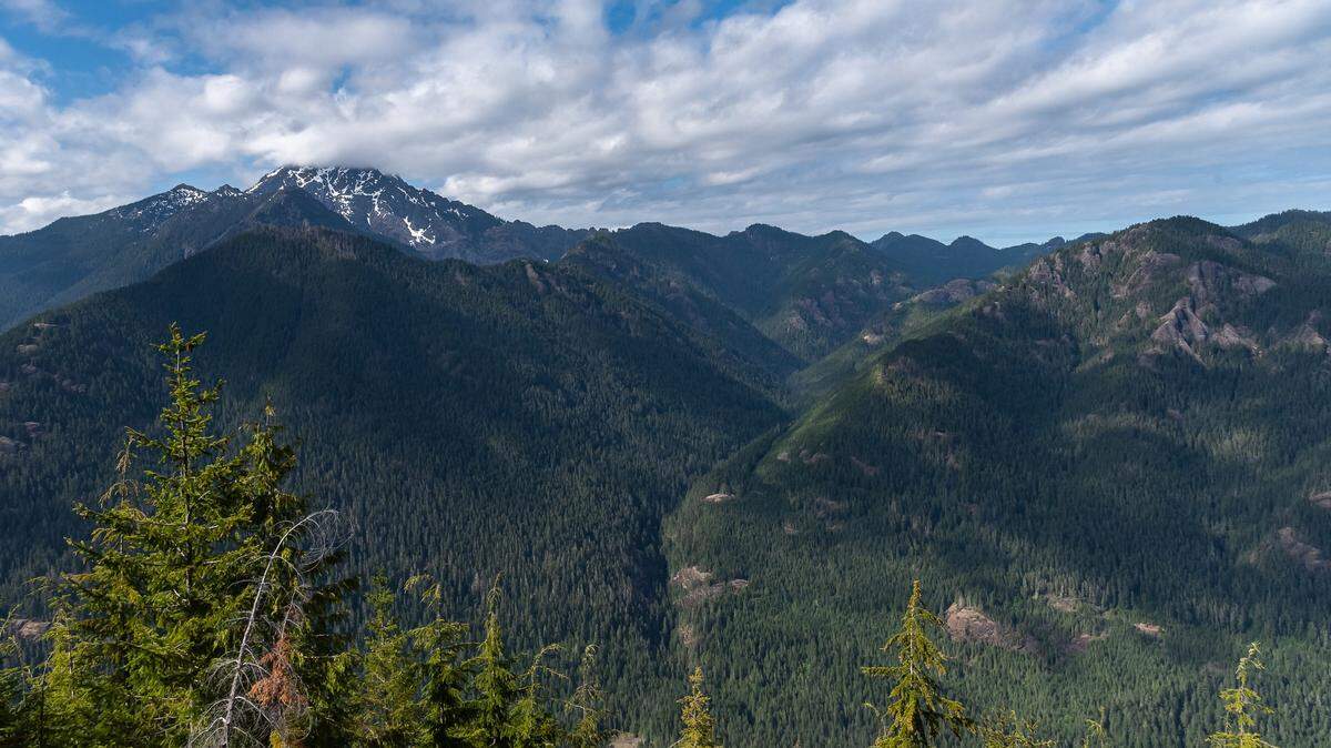 Mount Washington looms over the Olympic National Forest on the Olympic Peninsula in March 2023.