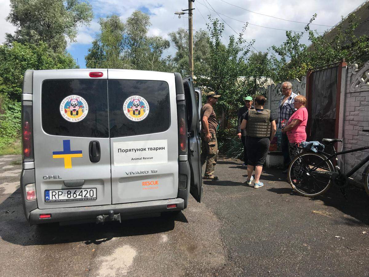K-9 Rescue International helps animals injured or left behind during the war in Ukraine.