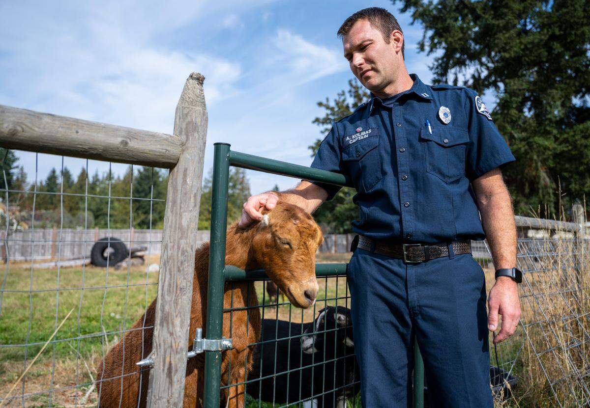 Graham Fire and Rescue Station 96 Captain Andrew Kolibas pets Torch the goat through her enclosure at the station in Graham, Wash. on Oct. 4, 2022. Torch and Drip, the station’s other goat, were adopted by the firefighters to help them maintain the lawn surrounding the fire house. They have now become the station’s mascot and are part of the station’s logo that can be seen on the back of their firetrucks.