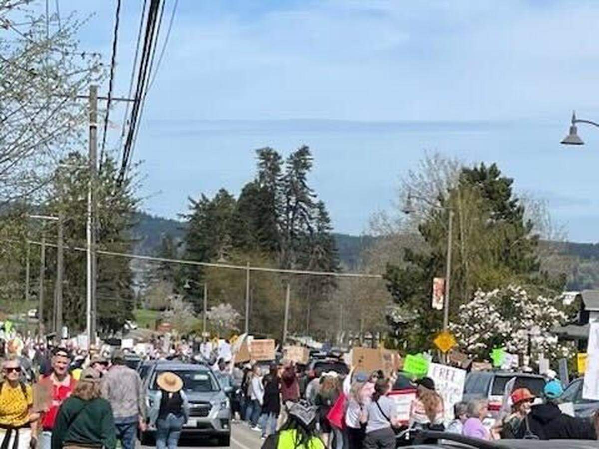 Hundreds came to Point Defiance in Tacoma from 12-3 p.m. on Saturday, April 5, 2025 to protest decisions led by President Trump and Elon Musk, joining a wave of “Hands Off” protests across the country.