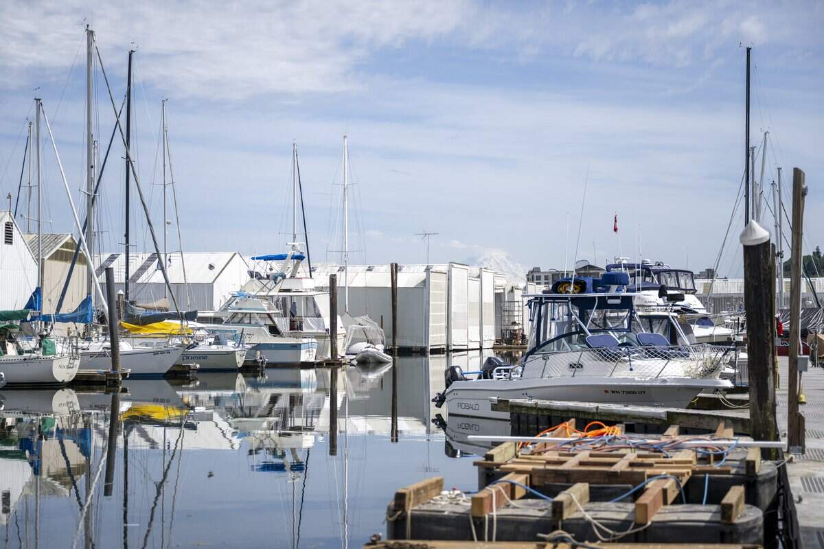 A collection of boats and boathouses fill the Breakwater Marina on Tuesday, May 12, 2026, in Tacoma, Wash.