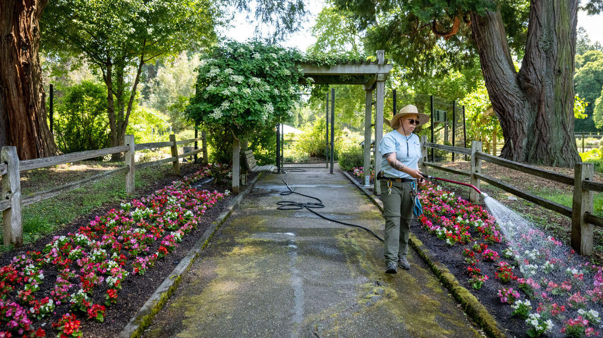 Point Defiance garden festival traffic changes this week | Tacoma News ...
