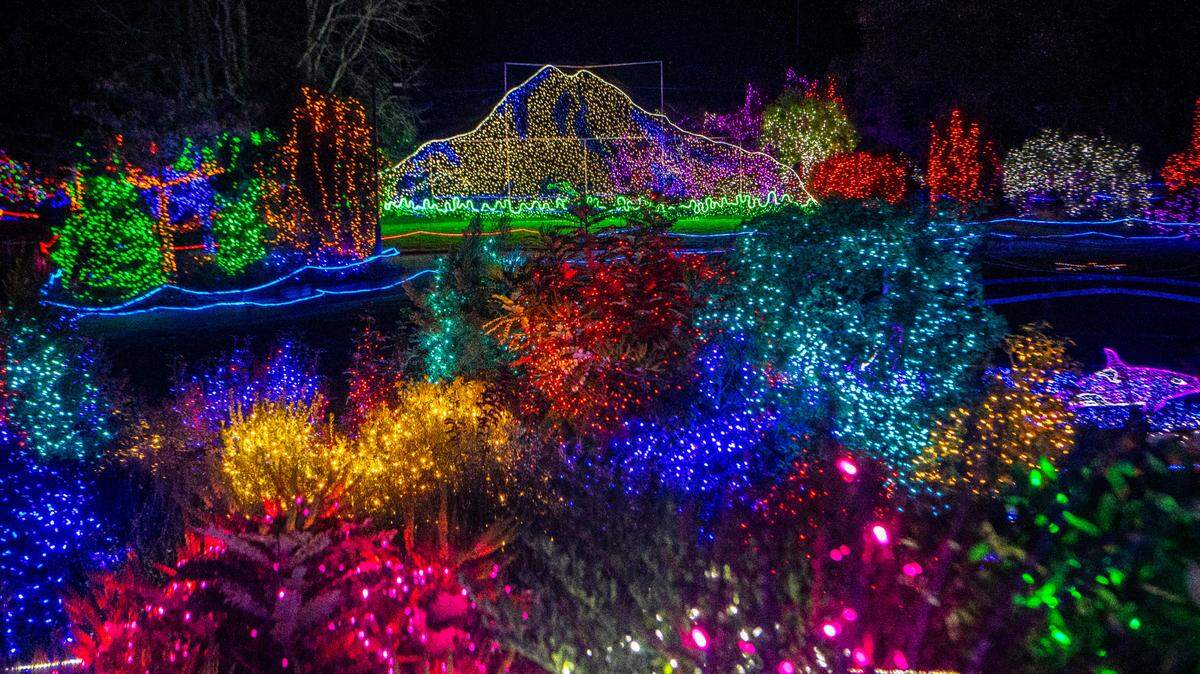 The Point Defiance Zoo & Aquarium is lit up with more than 1 million lights for its annual Zoolights event. Photographed on Tuesday, Nov. 19, 2024, in Tacoma.
