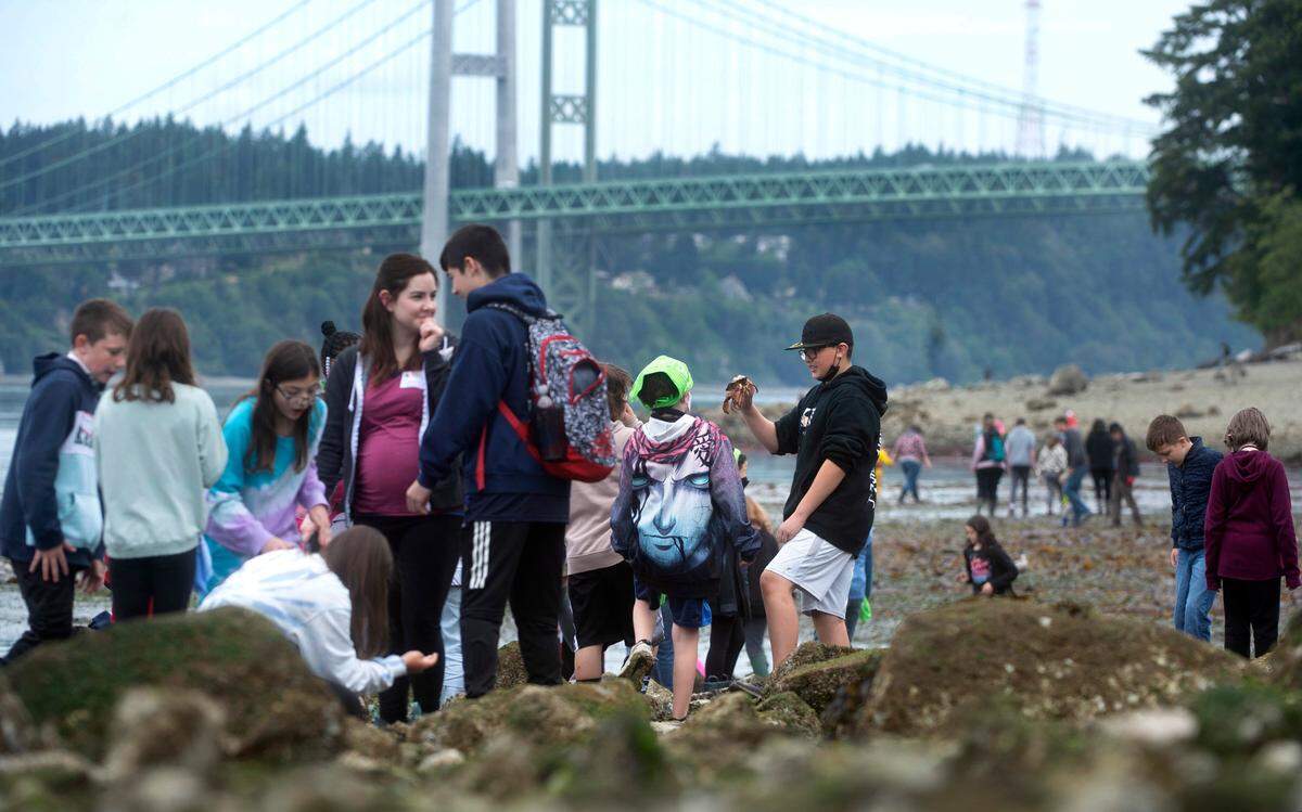 Fife students and teachers descend onto Titlow Beach to explore the tidepools during the negative low tide in Tacoma, Washington on Wednesday, June 15, 2022.
