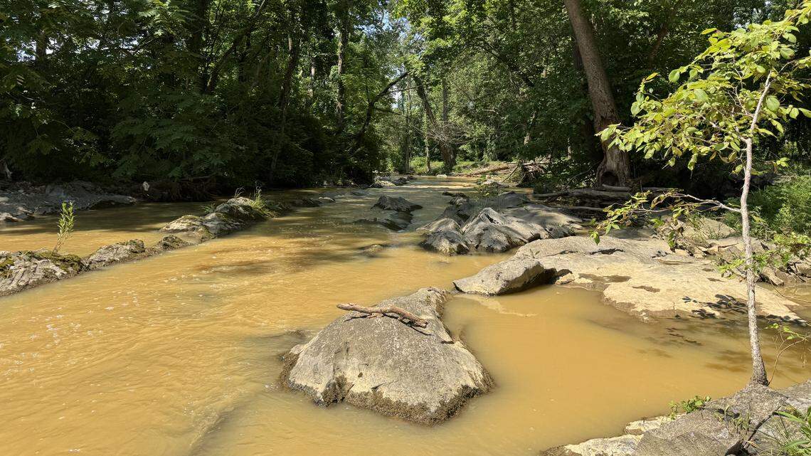 Quiet presence can beat grand gestures when it comes to Earth Day