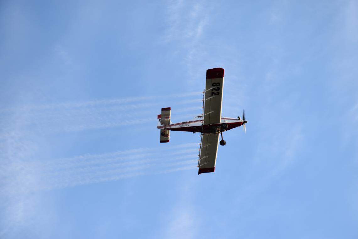 The Washington State Department of Agriculture plans to use a small plane to deploy Btk over a select area of Lakewood this spring. Btk is a naturally occurring bacteria that’s been commonly used as pest management in organic farming, and is safe for humans and animals.