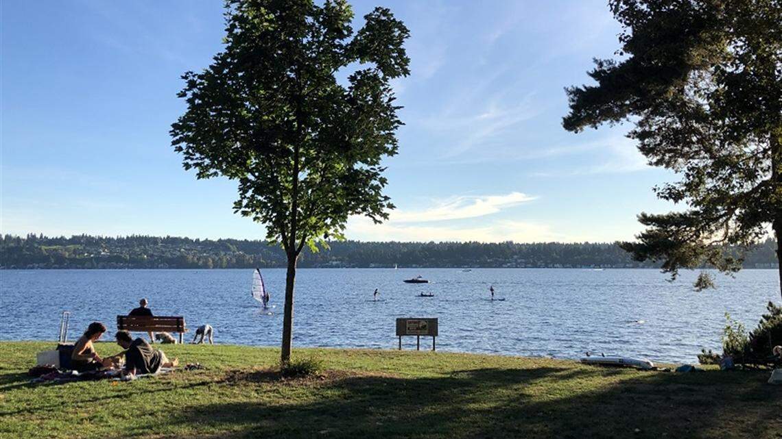 A father of three went missing after falling into Lake Washington on Father’s Day.