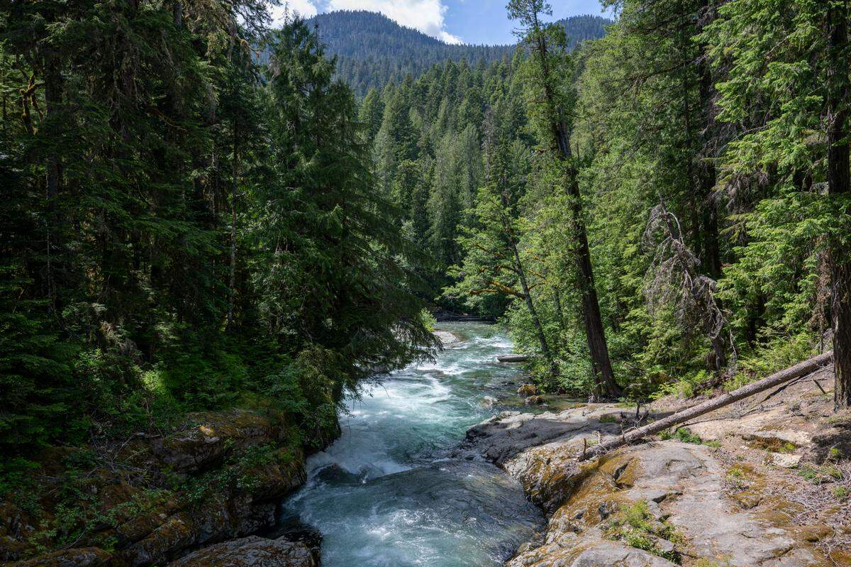 Water flows down the Ohanepecosh River, a river fed by Mount Rainier’s glaciers.