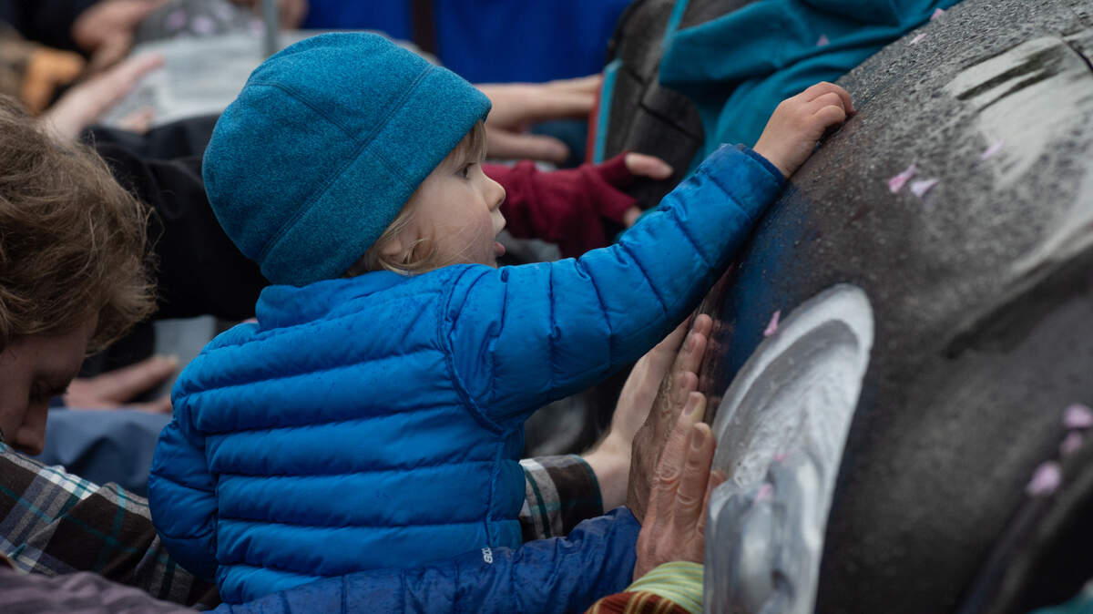Atticus Robinson, 2, joins the Bellingham community in blessing the House of Tears Carvers totem pole made for The Snake River to Salish Sea Spirit of the Waters totem pole journey at its launch Tuesday, May 3, at Bellingham Unitarian Fellowship. The 2,300-mile journey highlights the vital role of the Snake River, salmon and orca to the lifeways and identities of Tribal communities in the region.