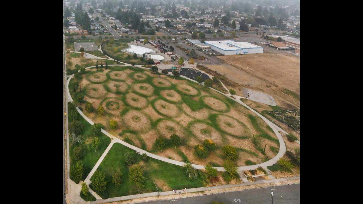 When mysterious circles appeared in the grass of Tacoma’s Kandle Park, this photo was published to social media. Don't fret UFO conspiracists, a malfunctioning irrigation system is at fault.