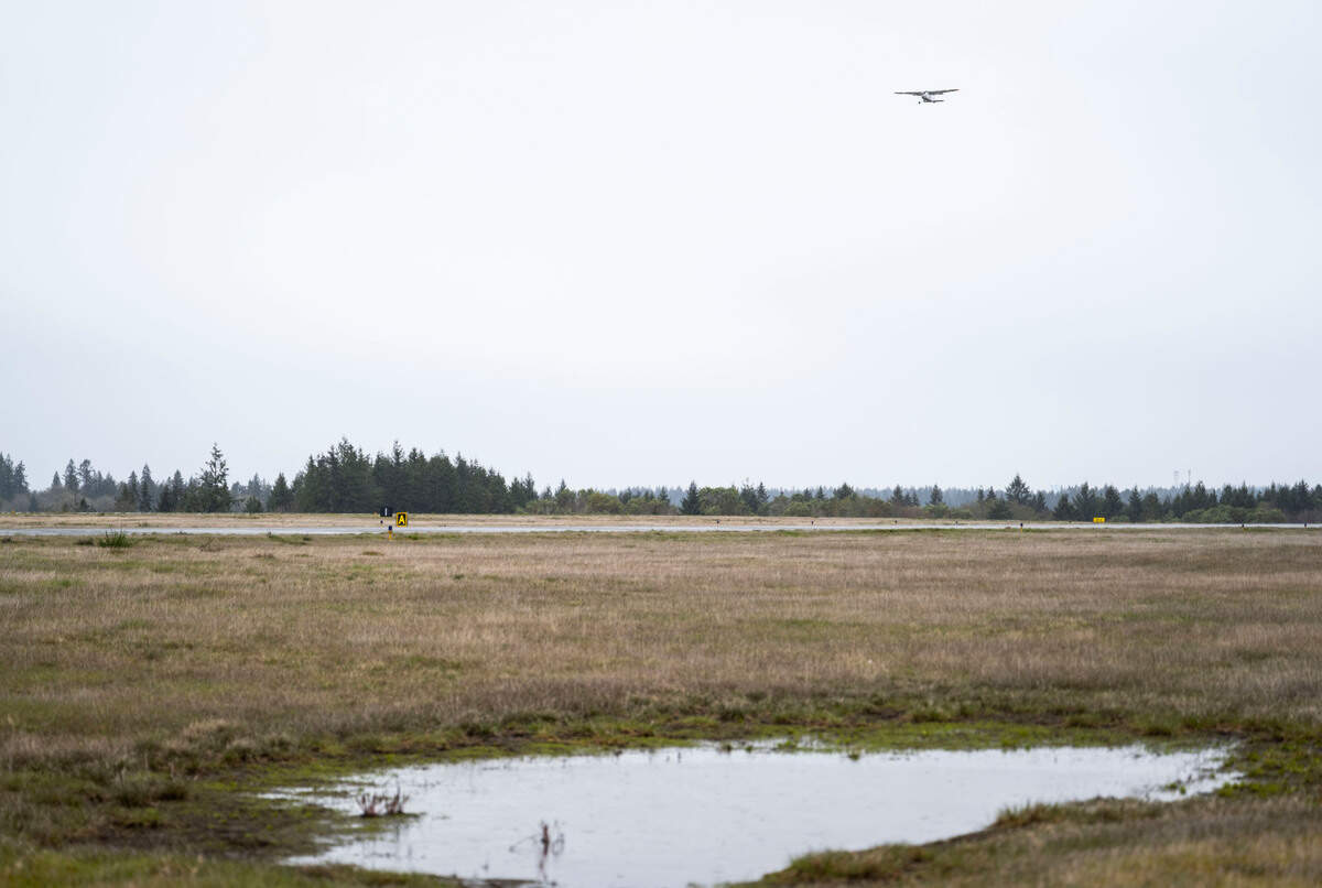 A plane flies over the runway at Tacoma Narrows Airport in Wollochet, Wash. on April 20, 2023. The Federal Aviation Administration planned to cut down 2,055 individual trees and clear 51.7 acres at the Tacoma Narrows Airport this fall, but after hearing ​concerns the FAA has agreed to reconsider the amount of trees being cleared.