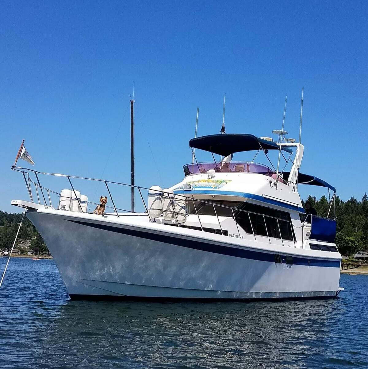 Gerry Gross and his girlfriend named his boat, “It’s 5 o’clock Somewhere,” after the song of the same name performed by Alan Jackson and Jimmy Buffett. Gross made it his home for over a decade.