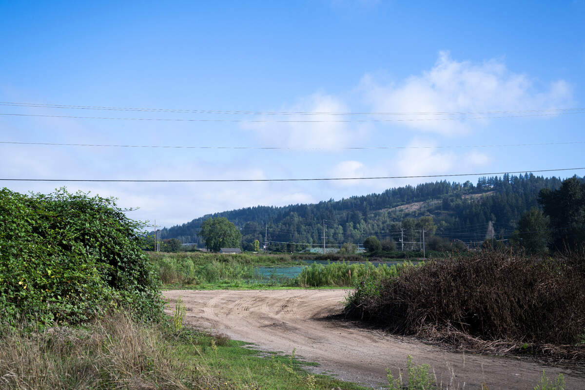 The White River Restoration Project is in Phase 1, which consists of moving earth. Photographed on Wednesday, Sept. 4, 2024, in Sumner.