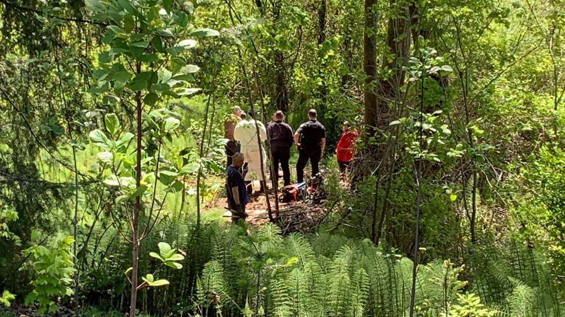 Human bones were discovered by a Bellevue city worker on May 18, 2022, in a wetlands area in Washington, police said.