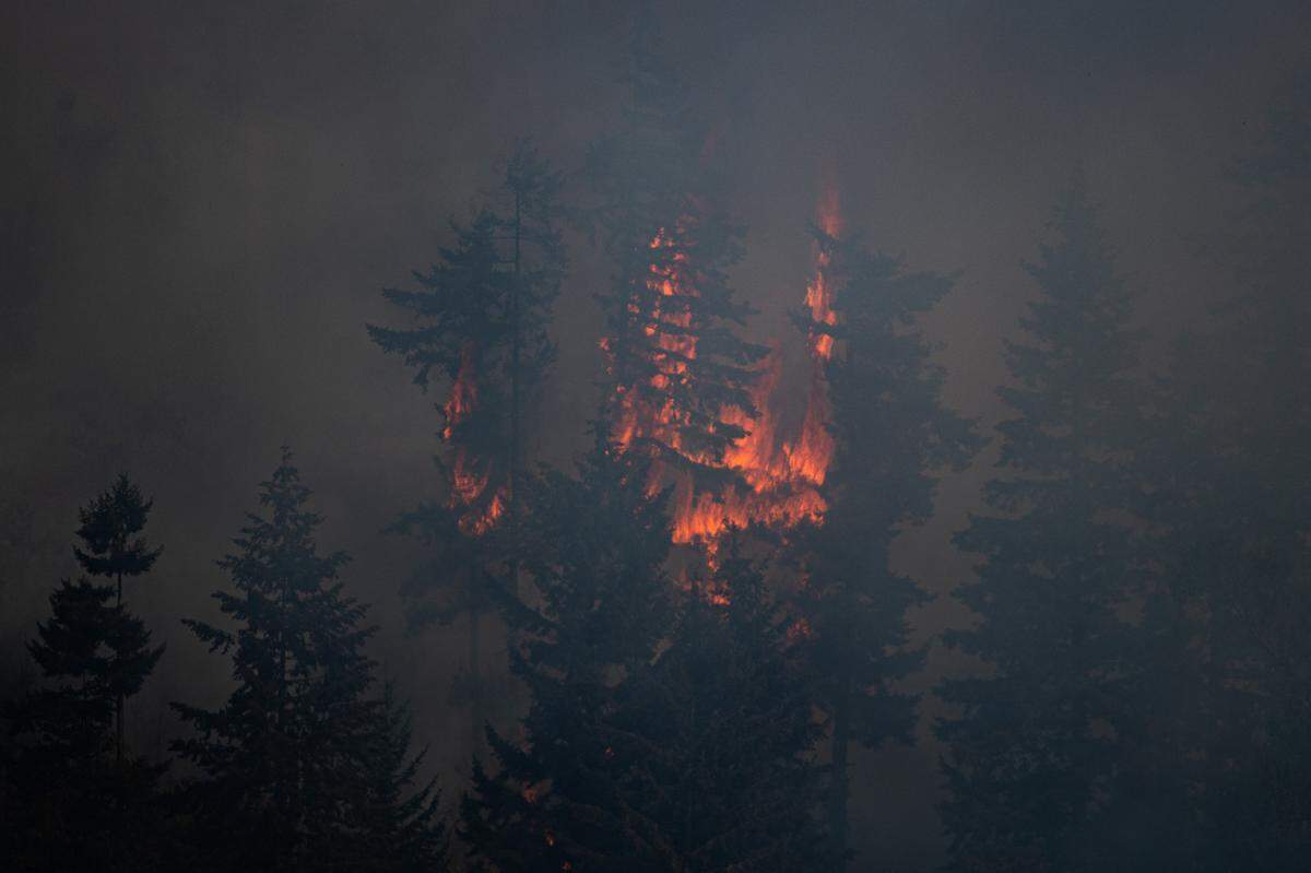 Crews battle a wildfire between State Route 410 and Myers Road in Sumner on Tuesday, Sept. 8, 2020.