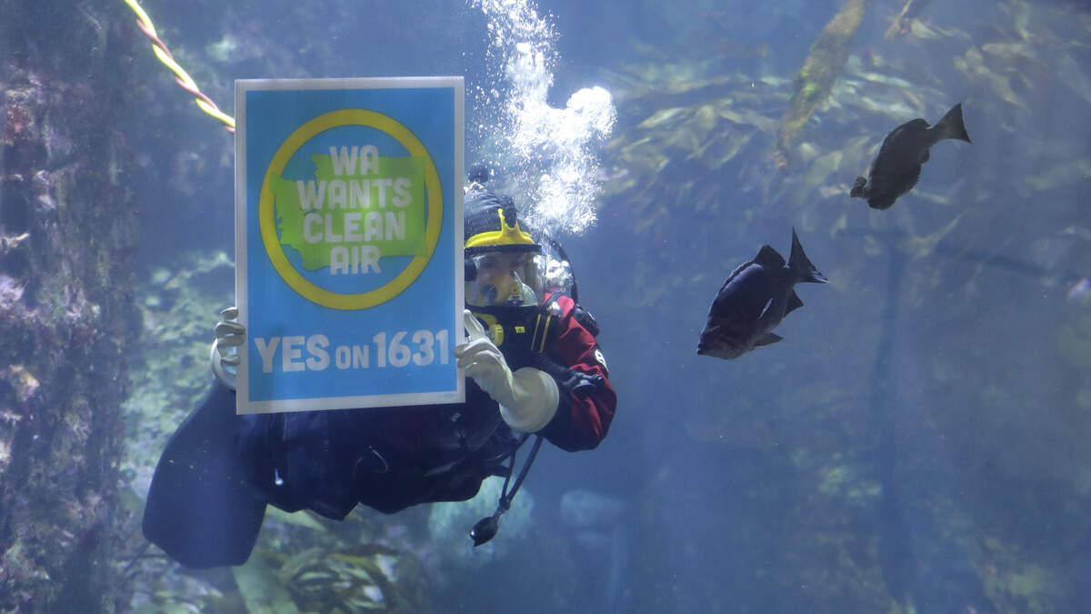 Washington voters sank Initiative 1631, which would have charged large polluters for fossil-fuel emissions. Proponents are likely to take another run at the issue in the legislative session that starts in January.