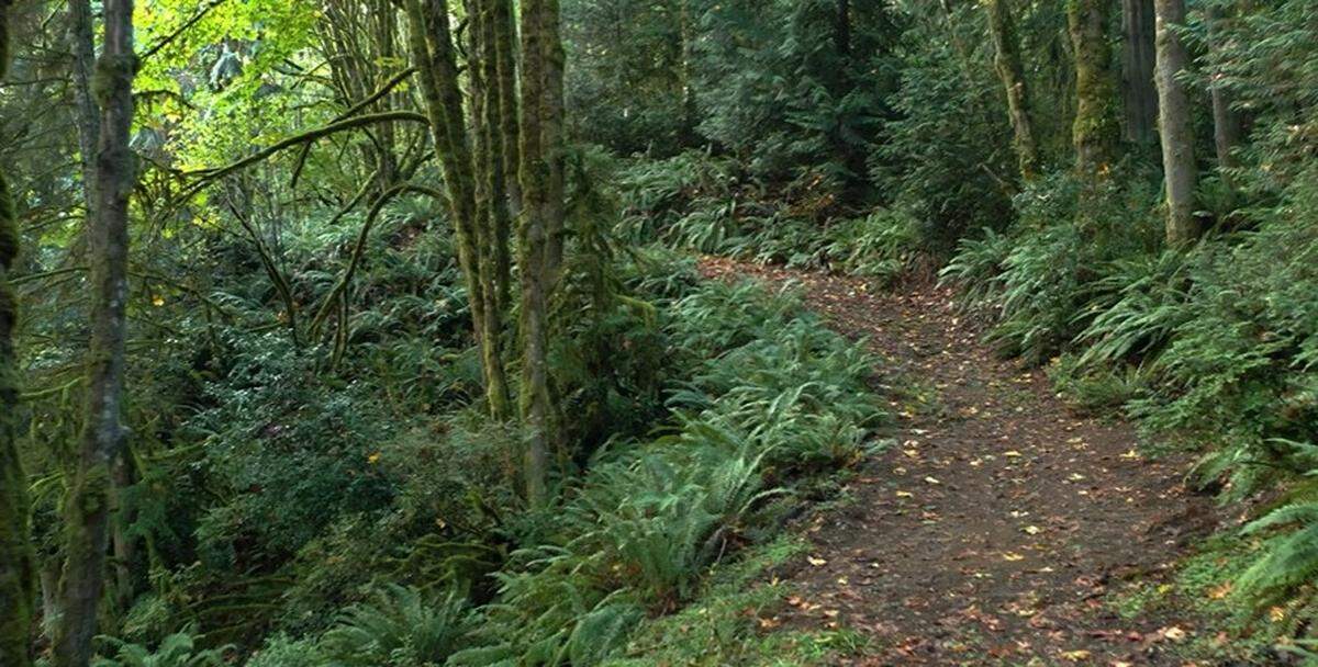 Tracey Perkosky, executive director of Key Pen Parks, said the purchase would be a good thing for the local trail system.