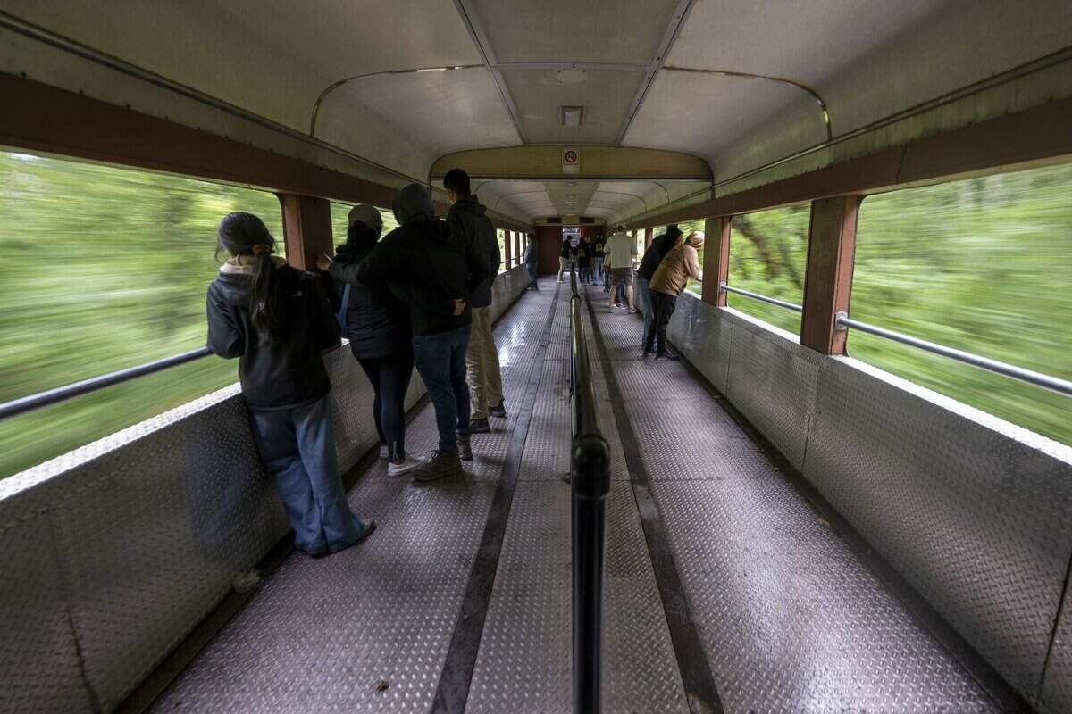 Passengers stand in an open-air train car as they ride along a forested portion of the Mt. Rainier Scenic Railroad on Thursday, July 16, 2026. The train departs from Elbe, Wash.