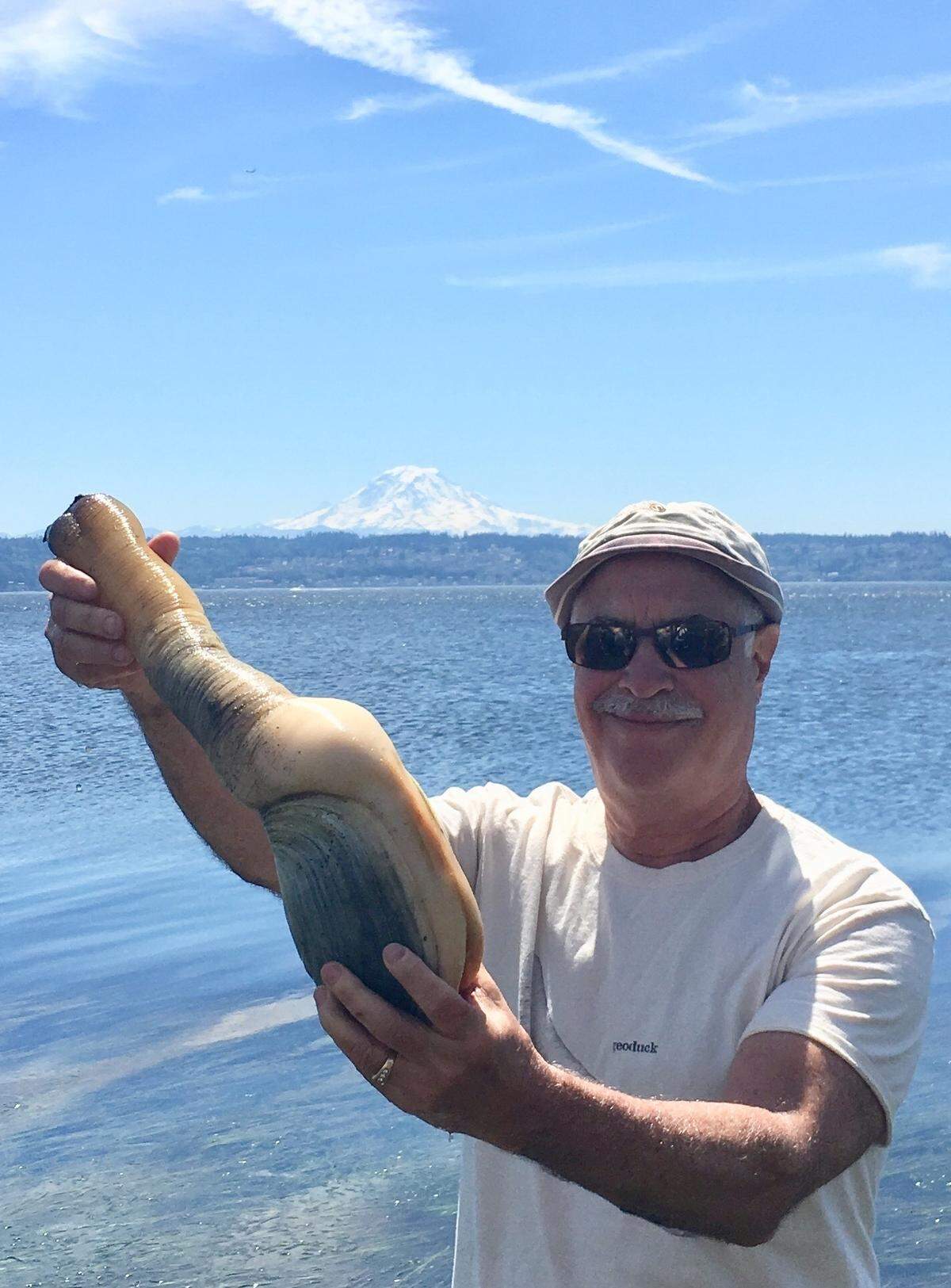 Dan Meyerson holding a monster geoduck on Point Vashon.